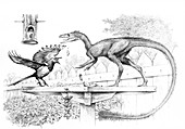 Magpie and raptor dinosaur, illustration