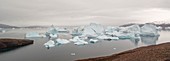 Icebergs in pinch point of Rode Fjord, Greenland