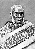 19th Century Maori chief, illustration