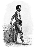 19th Century Marquesas man, illustration