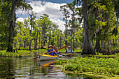 Environmental kayak tour of Louisiana swamp, USA