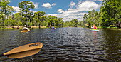 Environmental kayak tour of Louisiana swamp, USA