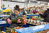 Imported flower warehouse, USA