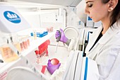 Faecal microbiota transplant donor tests