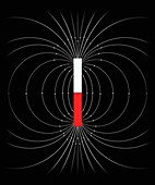 Magnetic field of a bar magnet, illustration