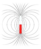 Magnetic field of a bar magnet, illustration