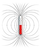 Magnetic field of a bar magnet, illustration