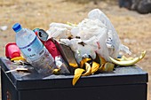 Overflowing public rubbish bin