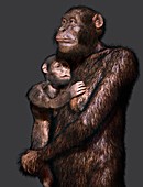 Australopithecus sediba female and infant, illustration