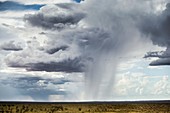 Rain clouds in distance, Australia