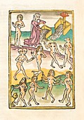 Deformities and diseases, 15th century