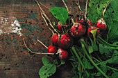 Freshly picked organic radishes on wooden table