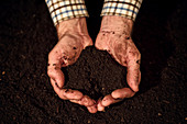 Soil in male gardener's hands