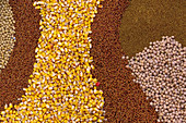 Various agricultural seeds