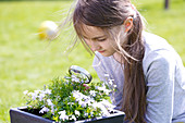 Girl examining plant