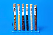 Food samples in test tubes