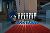 Multi pipette and multi well plate