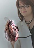 Doctor holding virtual human heart