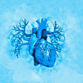 Heart against blue background, illustration