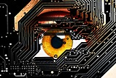 Human eye looking through circuit board