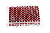 Multiwell plate with biological samples