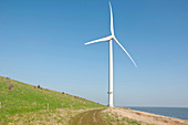 Coastal wind turbine