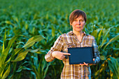 Farmer using digital tablet in field