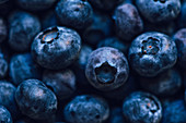 Fresh blueberries