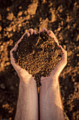 Farmer holding pile of soil