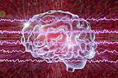 Brain and brain waves, illustration