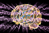 Brain and brain waves during sleep, illustration