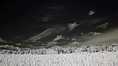 Clouds and wheat field, infrared footage