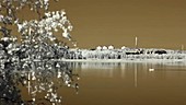 Small boat crossing a bay, infrared footage