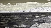 Trees and waves on a rocky shoreline, infrared footage