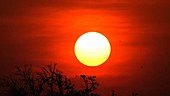 Tropical sunset, Kenya