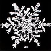 Snowflakes, historical image sequence