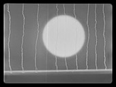 Upshot-Knothole Climax atomic test, high-speed footage, 1953