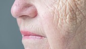 Elderly woman's face