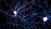 Neurons animation