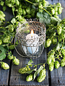 A tealight with a white candle and hops