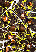 Schokoladeneier mit Cremefüllung auf dunkel-gelben Schokoladenecken