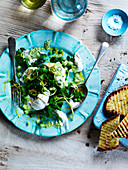 Lambs lettuce with mozzarella, lemon zest, peas, mint puree, and grilled bread