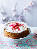 Pistachio and raspberry cake with meringue, whipped cream, icing sugar