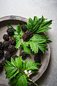 Fresh blackberries, close-up