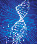 DNA structure, illustration