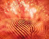 Fingerprint with binary code, illustration