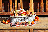 Basket of multicoloured corncobs, chestnuts, physalis and autumn leaves