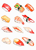Nigiri sushi (illustration)