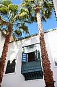 Palm trees in courtyard