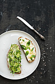 Avocado, ricotta, basil and sprout sandwiches
